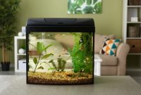 Modern aquarium wohnzimmer